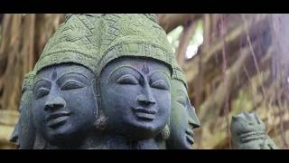 Shiva Temple and Rudrakshaरूद्राक्ष Forest in Kauai A must visit Hindu Temple in Hawaii USA [upl. by Tobie840]