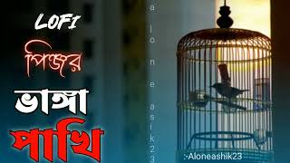 পিঞ্জর ভাঙ্গা পাখি কি আর ফিরে ফিরে আসে Lofi Pinjara bhanga pakhi ki ara phire phire Aloneashik23 [upl. by Pul]