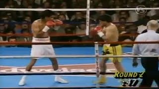 WOW KNOCKOUT OF THE YEAR  Michael Carbajal vs Humberto Gonzalez I Full HD Highlights [upl. by Torrey]