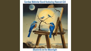 Bluebirds in the Moonlight feat Hannah Gill [upl. by Adnauqahs629]