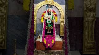 Amman Alangaram 🌺✨🌺 ammanspecial alangaram amman templepooja muthumariamman devotional [upl. by Okomom]