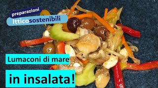 Insalata di Lumaconi [upl. by Porche]