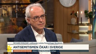 Antisemitismen ökar ”Det känns overkligt förfärligt”  Nyhetsmorgon  TV4 amp TV4 Play [upl. by Attelahs]