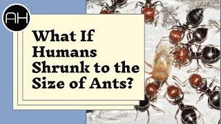 What If Humans Were Ant Size  AH Documentary [upl. by Jordison253]