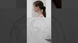 Learn the Face Sketching Without Loomis Method shorts youtubeshorts artwork loomismethod art [upl. by Ylrahc]