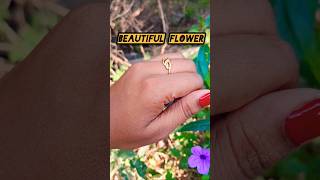 Beautiful Flower trending viralvideo new garden natural nature flowers plants fruit shorts [upl. by Nylhtac]