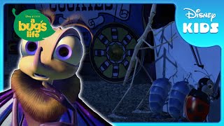 🎩 Circus Bugs Heroic Mission  A Bugs Life  Disney Kids [upl. by Hochman]