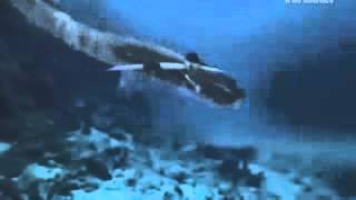 Trailer Sirenas El Descubrimiento Discovery Channel YouTube [upl. by Longley]