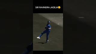 Ravindra Jadega in fielding🗿 Ravindra Jadeja in batting and bowling🗿ravindrajadejacricket [upl. by Aleuqahs]