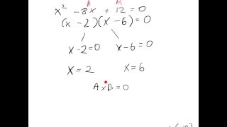 Junior Cert Maths Paper 1  Quadratic Equations explained [upl. by Hirsch193]