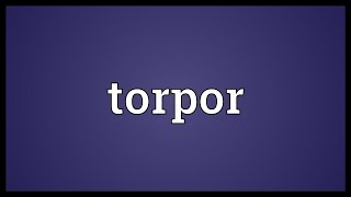 Torpor Meaning [upl. by Eanram985]