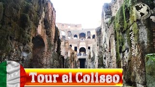 Tour Coliseosubterráneos y 3er nivel Colosseum underground and 3 level Roma 2013 [upl. by Yelrebmyk946]