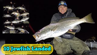 Epic Solo JEWFISHMULLOWAY lure fishing session [upl. by Einahc]