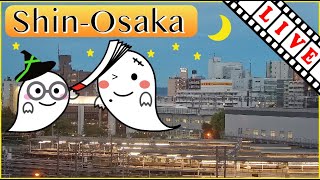 【LIVE】新大阪駅 鉄道ライブカメラ JR線 新幹線 Japan ShinOsaka Live cam [upl. by Hogue]