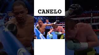 CANELO👈😯 boxing mma wbcboxing youtube kickboxing ufc muaythai nevergiveup wbcmuaythai mma [upl. by Friedrick]