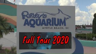 Ripleys Aquarium of Myrtle Beach Full Tour Myrtle Beach South Carolina [upl. by Diad166]