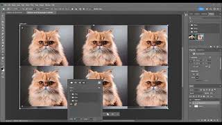 How to create print on photoshop in 1 minute  Sandeep Ranjan [upl. by Yehsa753]