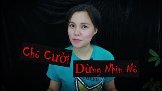 Chó Cười II Bức Ảnh Bí Mật Và Đáng Sợ II Truyện Creepypasta Chương 25 [upl. by Ahsiened]