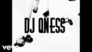 DJ Qness  Everything Official Video [upl. by Adnalor]