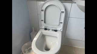 How to remove a toilet seat easy [upl. by Nbi]