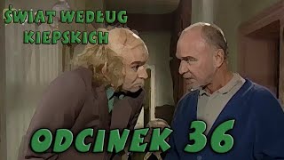 Świat Według Kiepskich Odcinek 36 Doktor Zgredzik i Mister Śledzik [upl. by Shanan]