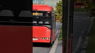 Route 28 at Fornebu beautiful norway oslo bus [upl. by Gnuh]