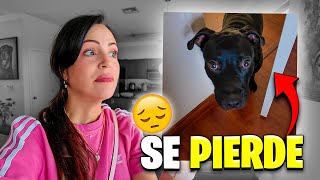 Tito se Pierde y Me Pongo Muy Mal  Sandra Cires Vlog [upl. by Hazeghi650]