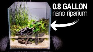 Making a 08 Gallon NANO RIPARIUM [upl. by Atiugal773]