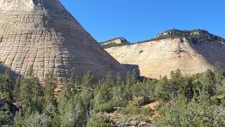 Checkerboard Mesa ampPipe Springs [upl. by Ula623]