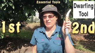 Dwarfing Tool Cincturing or Girdling Fruit Trees  Quicker Fruiting [upl. by Yroggerg]