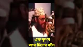 এক কৃপণ আর চিলের ঘটনা  allama delwar hussain saidi waz দেলোয়ারহোসাইনসাঈদীdelowarhossainsaidi [upl. by Neils837]