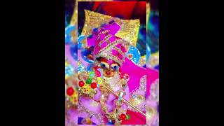 Bawre naina ✨️🥰 bhajan bhakti krishna love devotional likeandsubscribe 🤞💕🙏 [upl. by Rudin310]