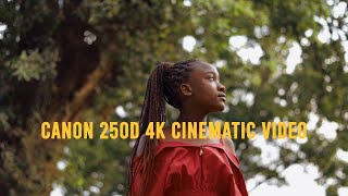 Cinematic Video 4K  Is the Canon 250D still worth it in 2023 [upl. by Nired870]