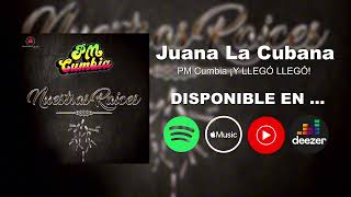 Juana La Cubana COVER Fito Olivares  PM Cumbia ¡Y Llegó Llegó FRAGMENTO Medley Cumbia Sureste [upl. by Arama]