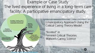 Nurs500 The Critical Emancipatory Approach to Practice [upl. by Corron281]