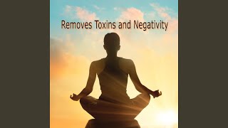 741 hz Removes Toxins and Negativity [upl. by Ebberta300]