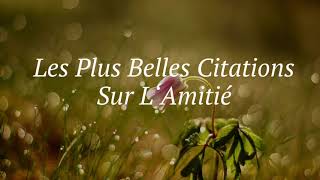 Les Plus Belles Citations Sur LAmitié [upl. by Awra499]