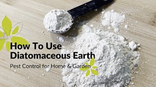 How To Use Diatomaceous Earth  Home amp Garden Pest Control [upl. by Azelea]