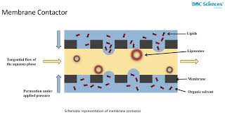 Liposome Preparation 2 [upl. by Dalia268]