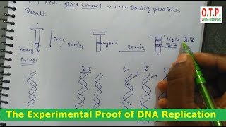 The Experimental Proof of DNA Replication by Meselson and Stahl experiment in hindi [upl. by Ylrebmyk]