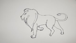 how to draw a lion easy step by step  quick line drawing [upl. by Riane]