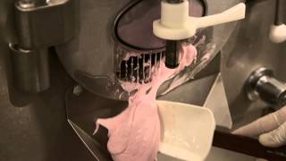 THE MAKING OF CANDY WARHOL  GELATO MESSINA [upl. by Yerrot]