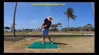 George Knudson golf drill Analyzed amp Explained using Pro V1 [upl. by Mackay149]