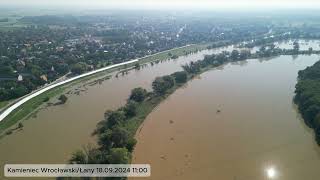 Fala powodziowa na Odrze  Kamieniec WrocławskiŁany 18092024 godzina 1100 [upl. by Malissia215]