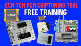 FoxFlash ecm tcm pcm bcm mcu chip tuning Programmer Review [upl. by Bausch]