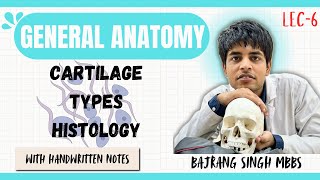 Cartilage  It’s types and histology ll GENERAL ANATOMY ll 1ST YEAR MBBS [upl. by Uile]