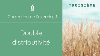 Utiliser la double distributivité 1  Troisième [upl. by Leibrag]