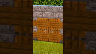 Door seal in Minecraft [upl. by Allisan650]