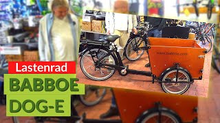 Babboe Dog E  Lastenrad mit Elektromotor [upl. by Eiramik]