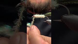 Alevín pa vago flytying [upl. by Asiled]